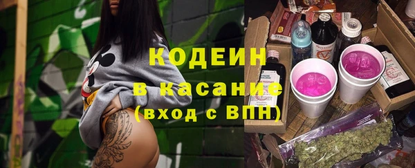 гашик Липки
